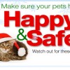 Keep Your Pet’s Safe This Christmas